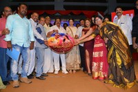 Kotikokkadu Audio Launch